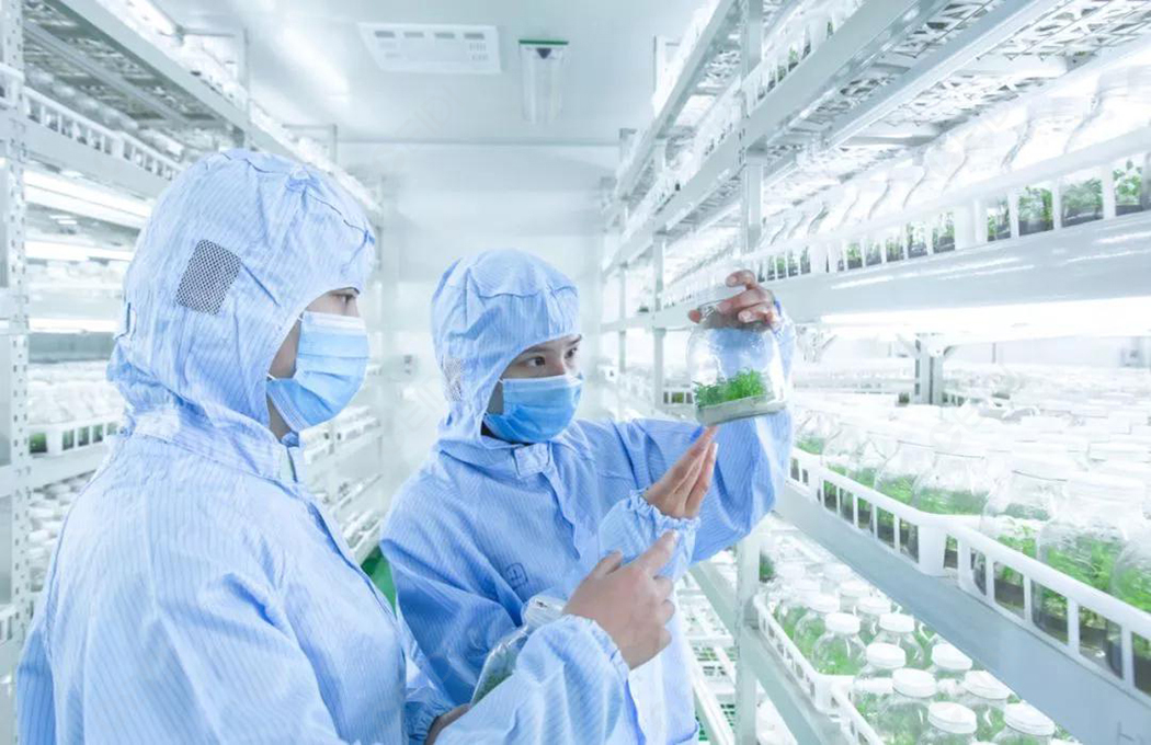 植物組培室設(shè)計(jì)的基本布局有哪些？植物組培室的基本布局有什么？